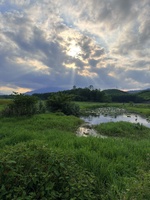 Phước Văn