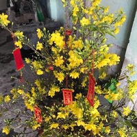 Phạm tiến dũng