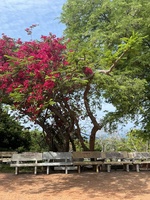 Ngọc Ngân 