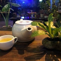 Vn