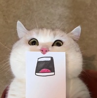 Toàn