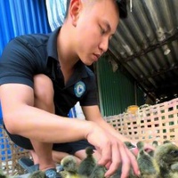 Hoàng Lân