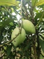 Vui Học Tiếng Trung