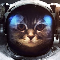 Viết Thế Đinh (GinChaCa)