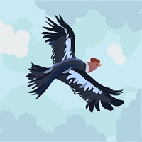 Anh Hào Đỗ Nhật