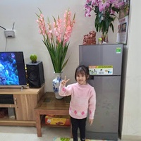 Tinh Phamvan