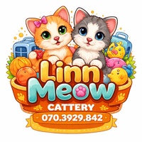 Linn Meow