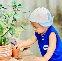 Bánh Canh Tôm Hùm