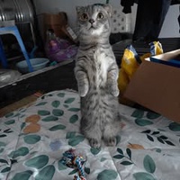 Nguyễn Tiến Đạt