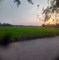 Tấn Dư