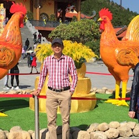 Duong Nguyen Quy