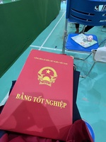 Tuấn Đinh