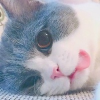 Nguyễn Đức Dương