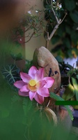 Lương Thị Ngọc Thuỳ