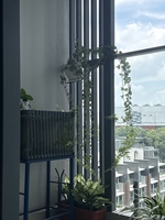 Tên chưa cung cấp