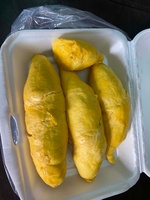 Hoa Huong Duong Nguyen