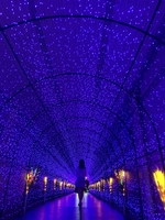 Phượng