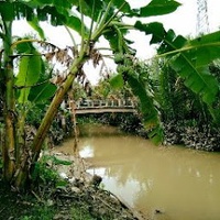 Thuật Phạm NThanh