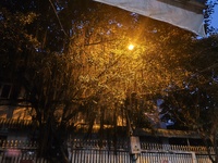 đình phước nhân ngô