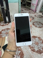 Thiện Long 