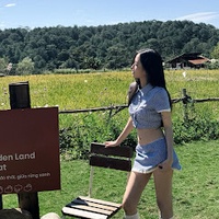 Vy Hà