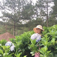 Thu Thuỷ Trần