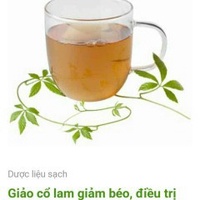 Hoàng Thương 