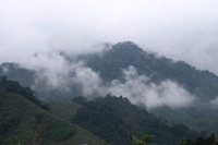 Nhật 