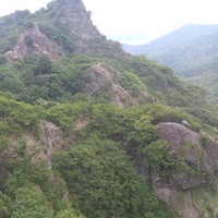 Phượng Nguyễn