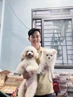 Hải Đăng Gia Thành