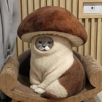 Mỹ Dung