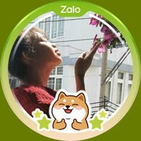 Gạo