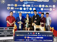 Hạnh Võ
