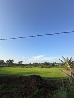 Quang hùng