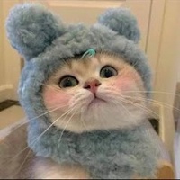 Phạm Thị Ngọc Hân