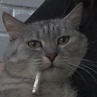 _ Wuy