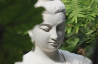 Duy Trần
