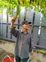 Đoàn Văn Nửa