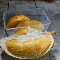 Tran Thuan