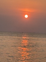 cẩm hồng