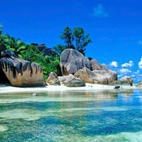 Đạt Trần