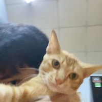 Tài Đinh Minh
