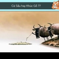 Lập