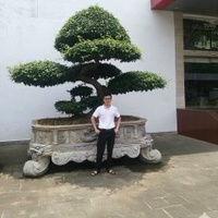 Trần Phương Nam