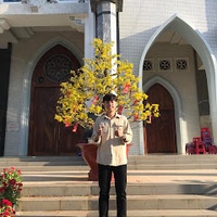 Vũ Minh Thông