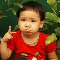 Hồng Nhung
