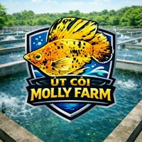 Út Còi Molly Farm