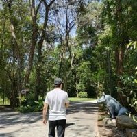 Tan Vu