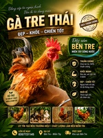 Trại gà Bến Tre