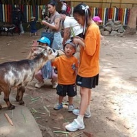 Loan Nguyễn